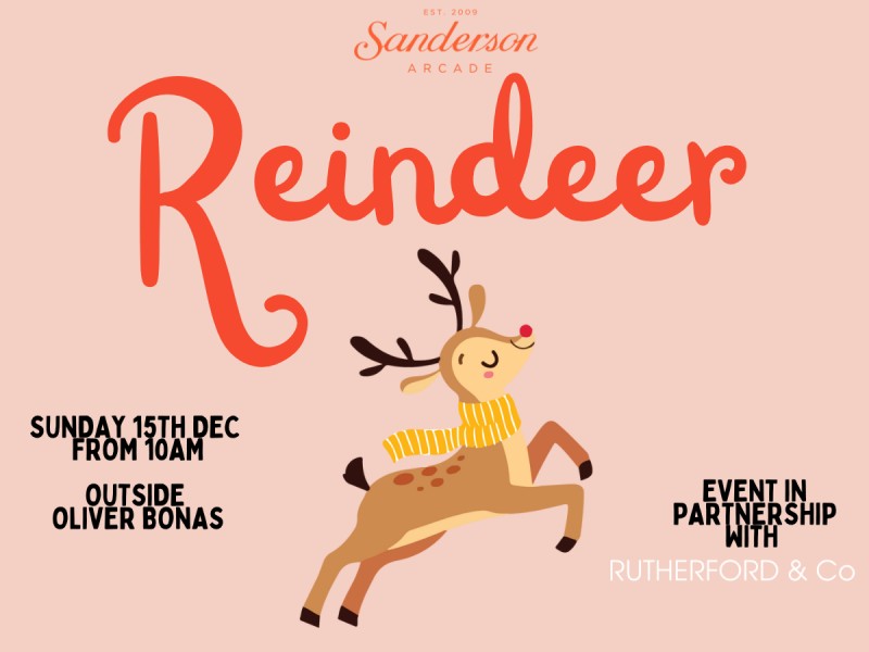 Reindeer Reindeer