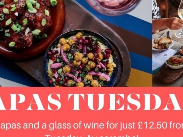 Tapas Tuesdays at Martino Lounge